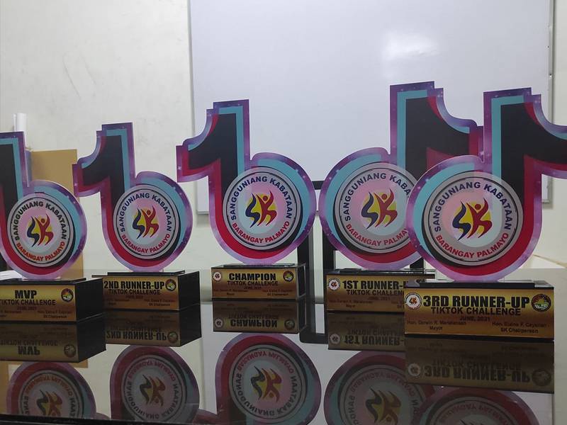 Plaques