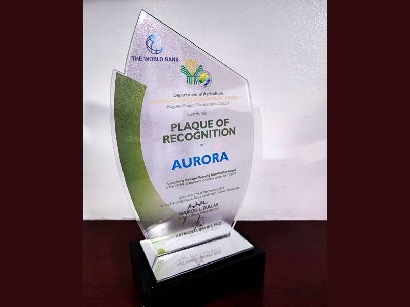 Plaque of recognition